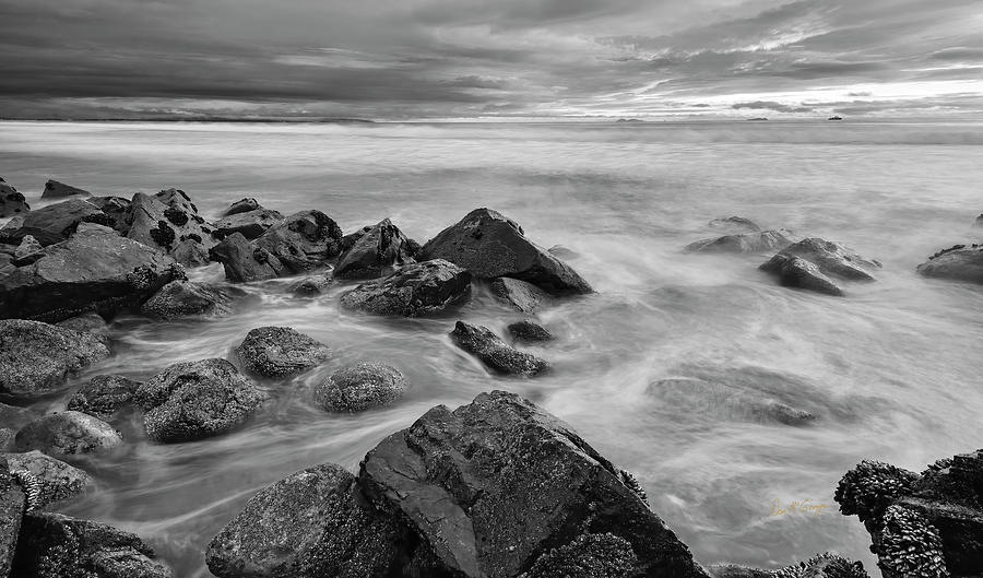 Sea Of Grey Photograph by Dan McGeorge