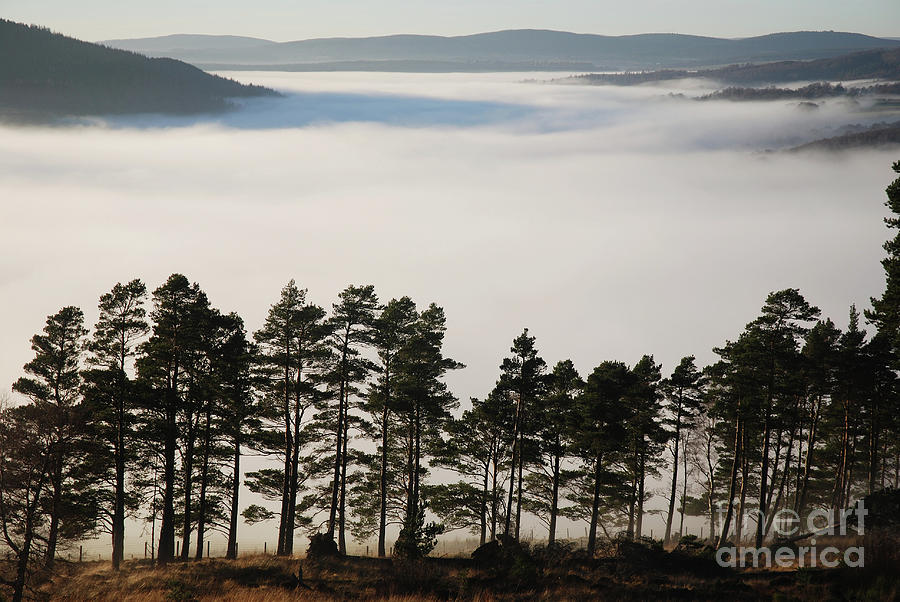 Sea of Mist in Strathspey Photograph by Phil Banks