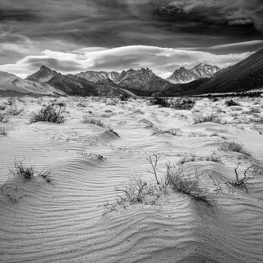Sea of Sand Photograph by Grant Sorenson