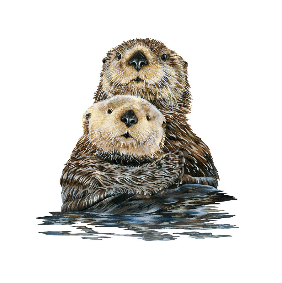 Sea Otter With Pup Painting by Dawn Witherington