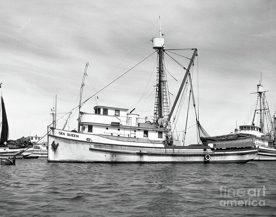 Boat Photograph - Sea Queen Monterey harbor California, fishing boat purse seiner  1945 by Monterey County Historical Society