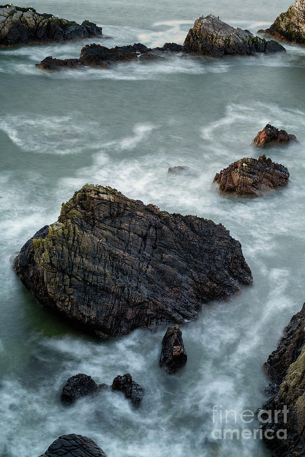 Sea Rock Portknockie Photograph by Tim Gainey
