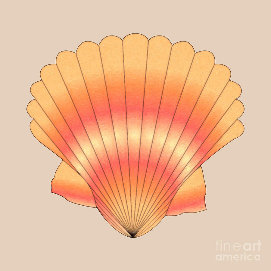 Sea shell artwork, Shell Art, Beach, Ocean, Art Print, Beach Decor