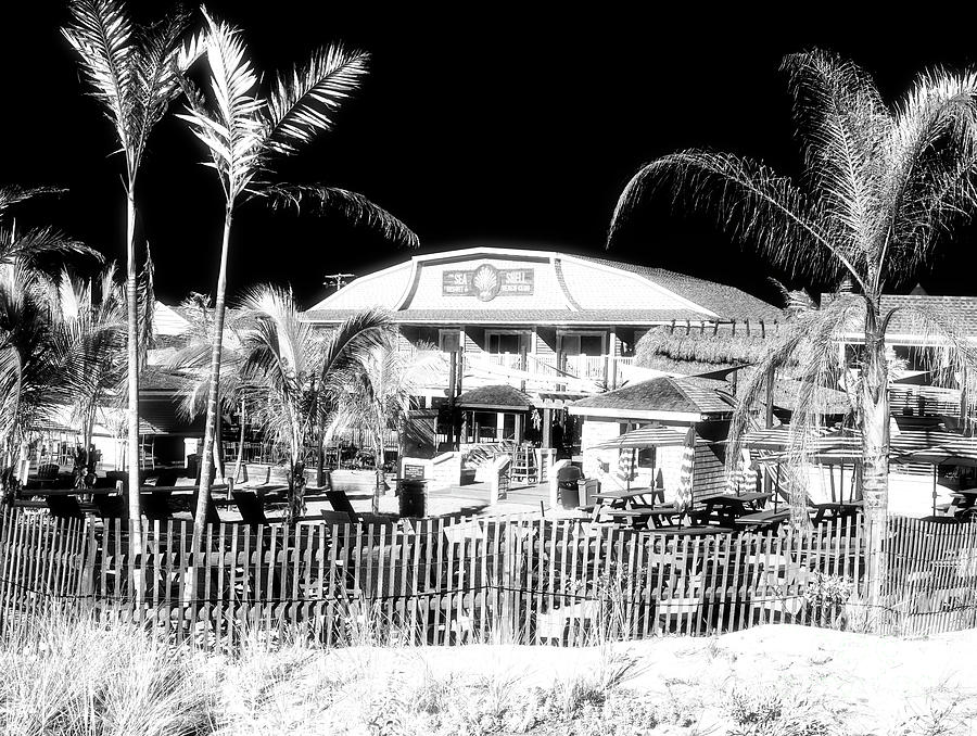 Sea Shell Resort and Beach Club in Beach Haven Photograph by John Rizzuto