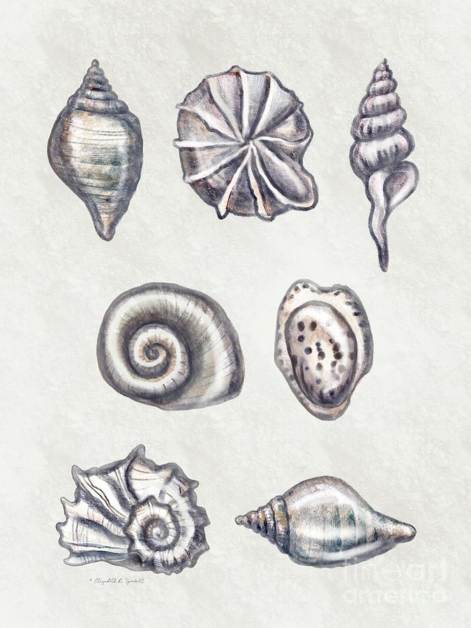 Sea Shell Study I Painting by Elizabeth Robinette Tyndall
