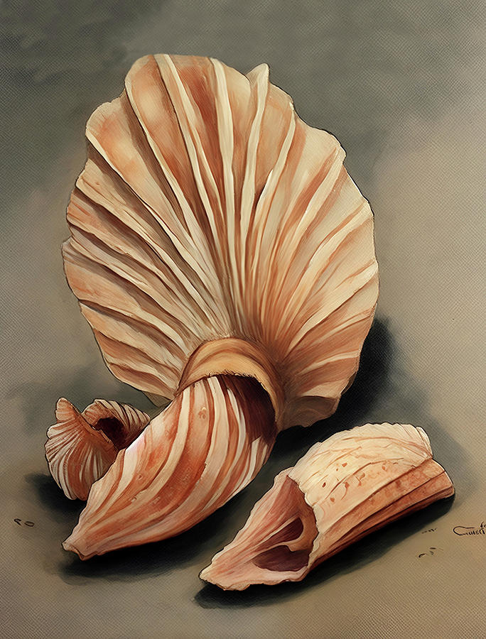 Sea Shells Digital Art by Long Shot
