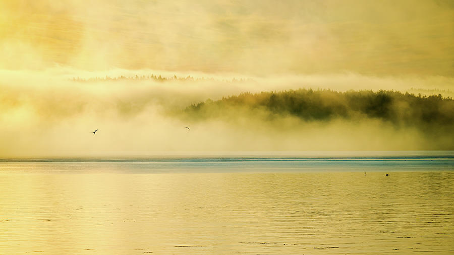 Sea Smoke at Gleasons Point Photograph by Benjamin Roberts