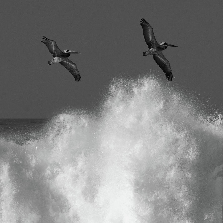 Sea Spray Photograph by Cliff Wassmann