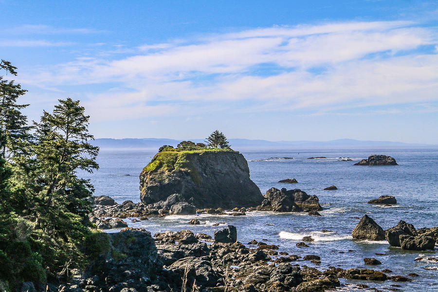 Tree Photograph - Sea Stack - Crescent City California by Art Block Collections