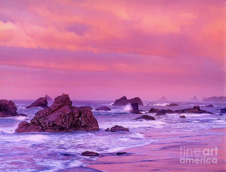 Sea Stacks At Dawn Harris State Beach Oregon Photograph by Dave Welling