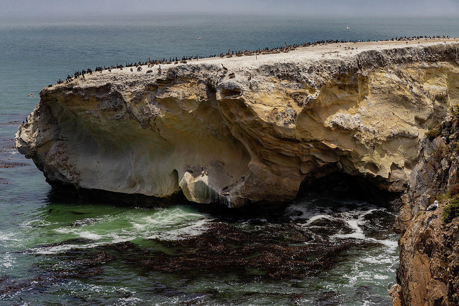 Sea Stacks near Dinosaur Caves Park Photograph by Ed Clark