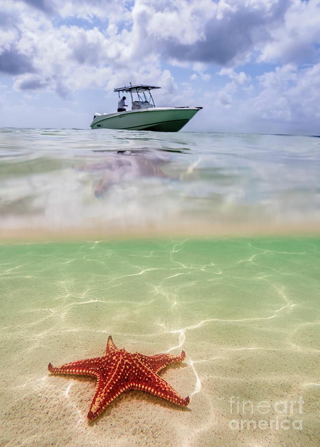 Star fish point, Cayman Islands