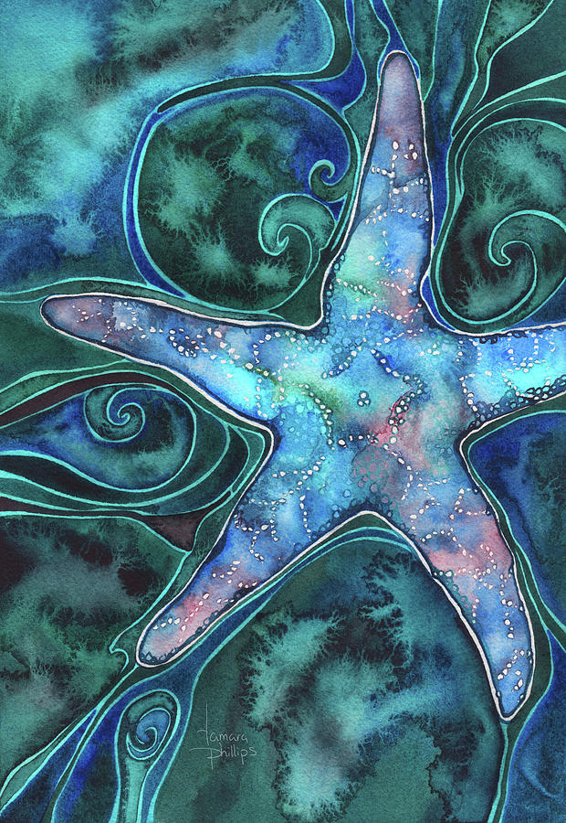 Sea Star Painting - Sea Star by Tamara Phillips