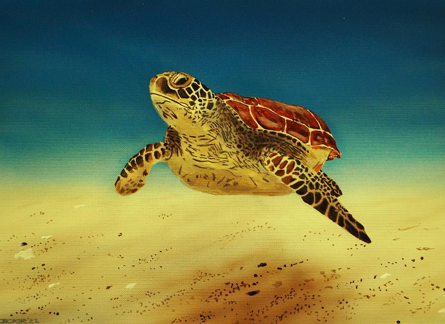 Sea Turtle 1 Painting by DC Decker - Fine Art America