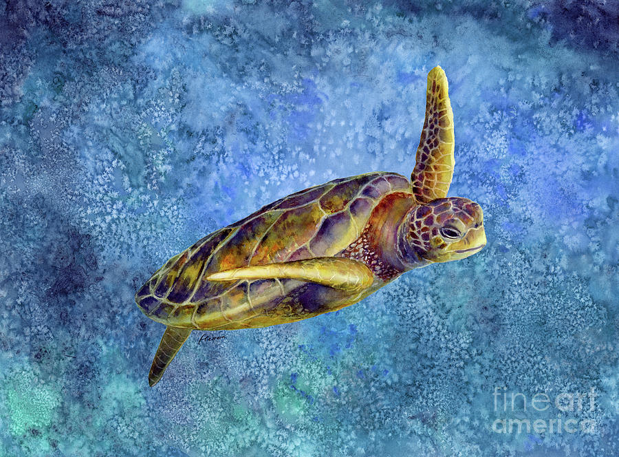 Wildlife Painting - Sea Turtle 2 on Blue by Hailey E Herrera