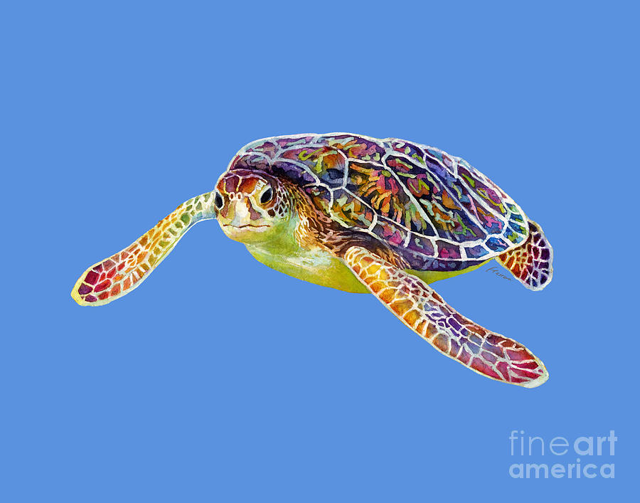 Turtle Painting - Sea Turtle 3 - solid background by Hailey E Herrera