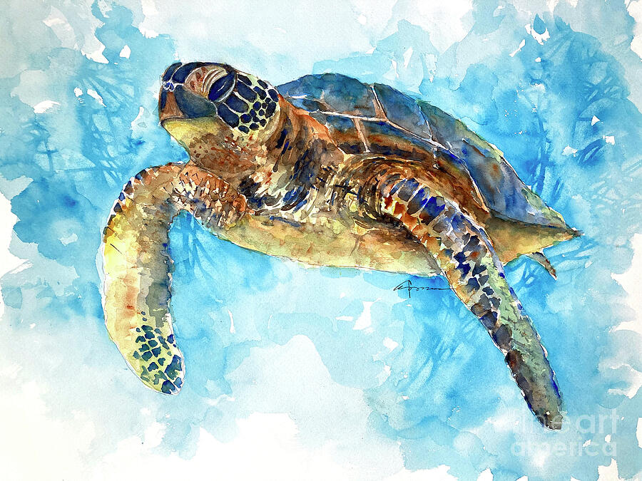 Sea Turtle 33 Painting by Claudia Hafner - Fine Art America