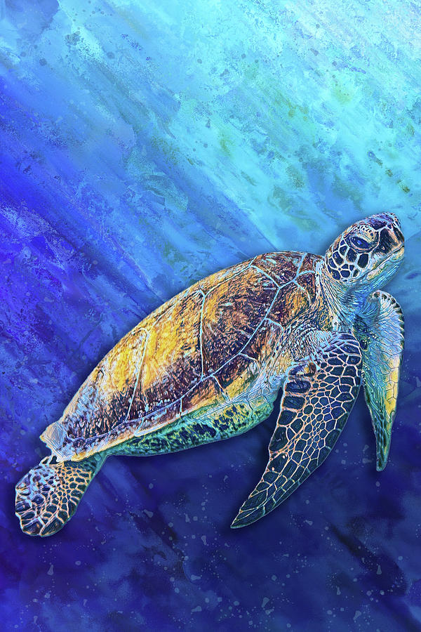 Sea Turtle Painting by Alpenglow Workshop - Fine Art America