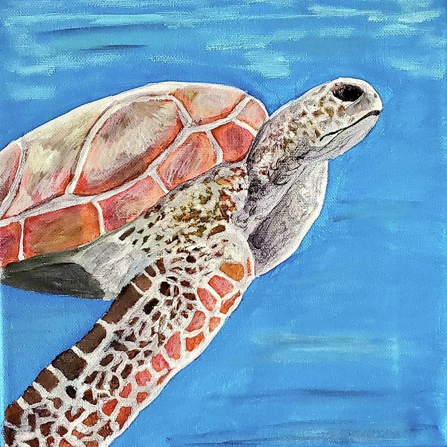 Sea Turtle Painting by Amy Kuenzie