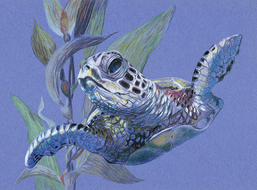 Sea Turtle and Seaweed Painting by Masha Batkova