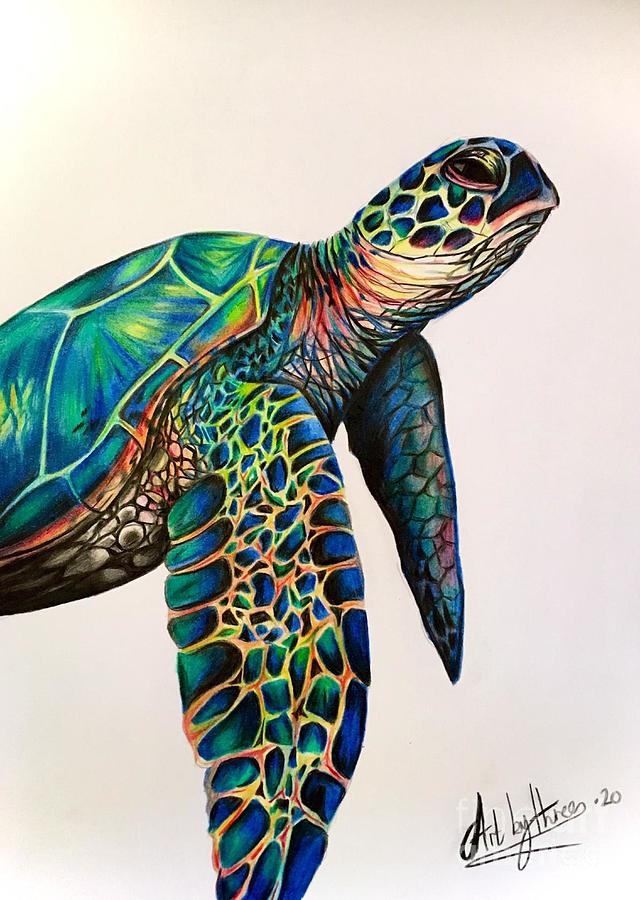 Sea Turtle Drawing by Art By Three Sarah Rebekah Rachel White Fine