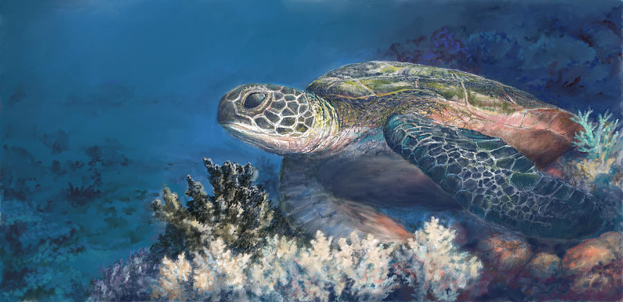 Sea Turtle at Rest Digital Art by Scott Stafstrom