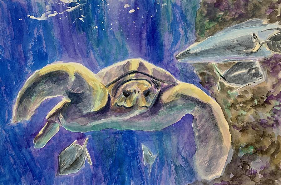 Sea Turtle Painting by Cathy DeLibero - Fine Art America