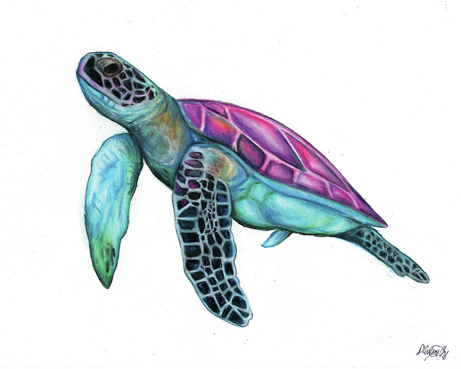 Sea Turtle Drawing By Darlene Chen Fine Art America