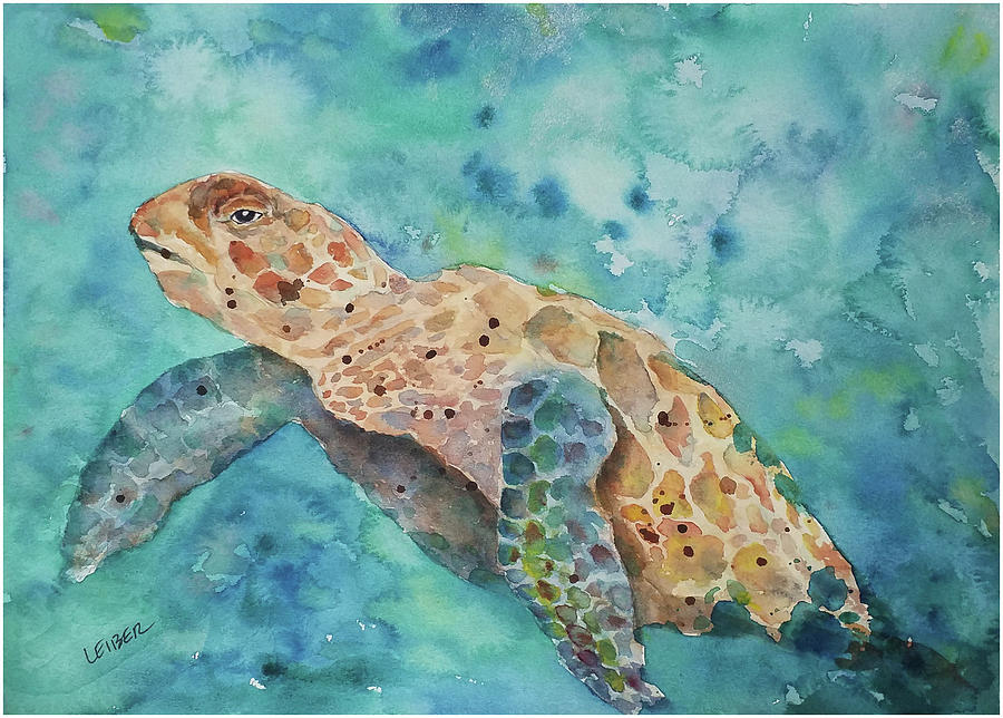 Amphibians Painting - Sea Turtle by Donna Leiber