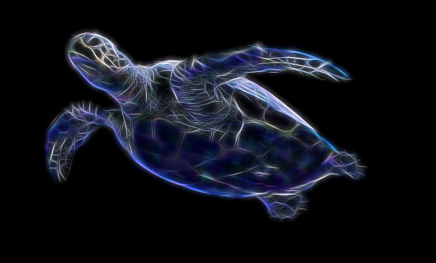 Sea Turtle Fractalized Digital Art by Gary Hughes