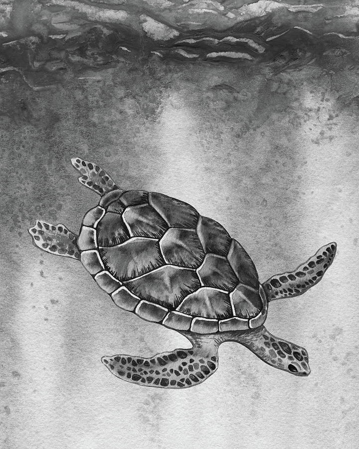 Sea Turtle Gray Watercolor Ocean Creature IV Painting by Irina Sztukowski