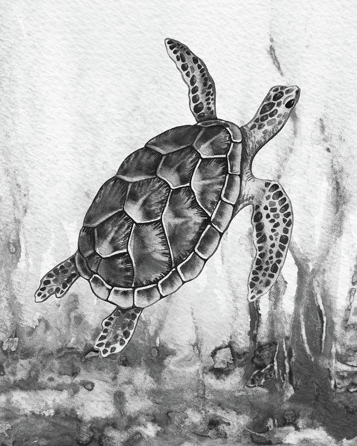 Sea Turtle Gray Watercolor Ocean Creature V Painting by Irina Sztukowski