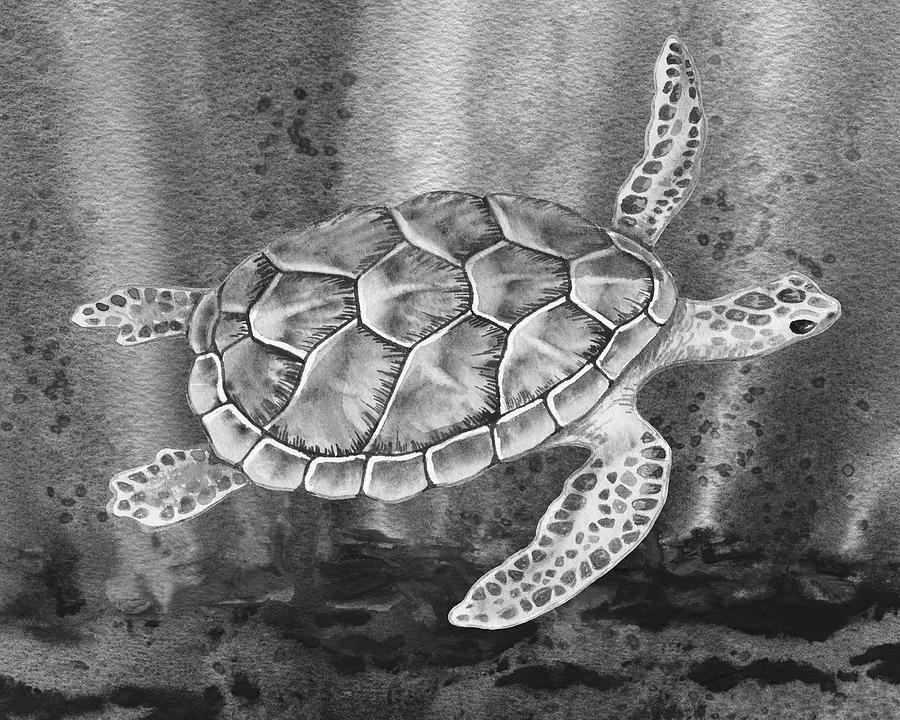 Sea Turtle Gray Watercolor Ocean Creature VI Painting by Irina Sztukowski