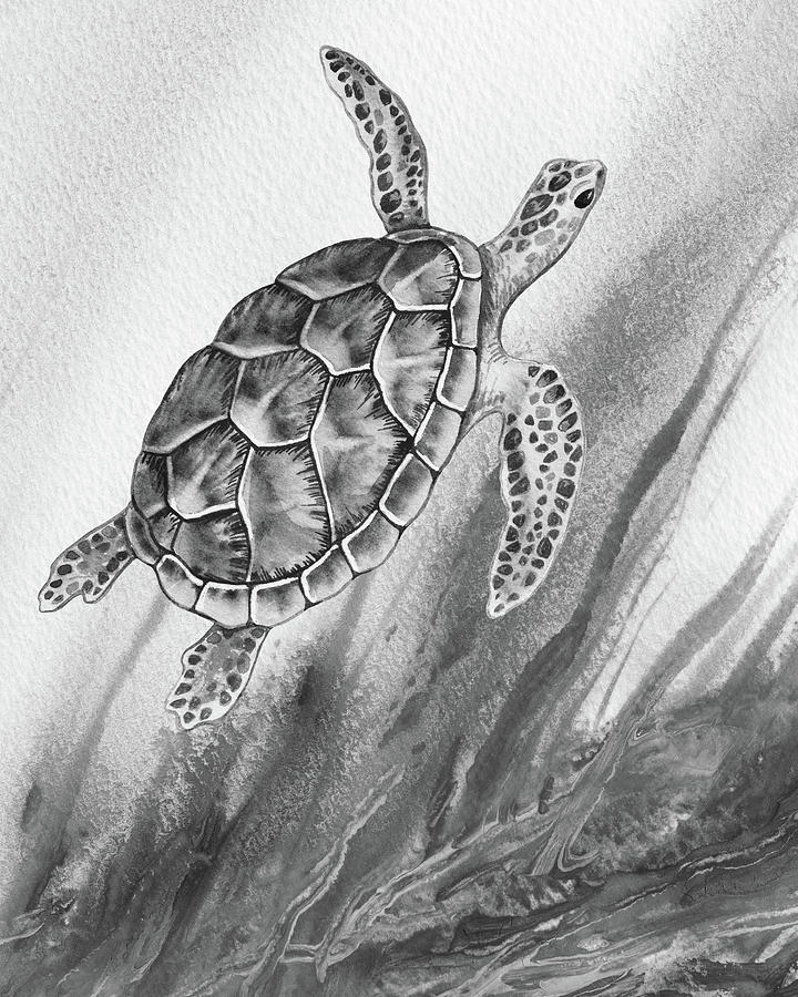Sea Turtle Gray Watercolor Ocean Creature VII Painting by Irina Sztukowski