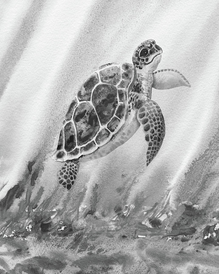 Sea Turtle Gray Watercolor Ocean Creature X Painting by Irina Sztukowski
