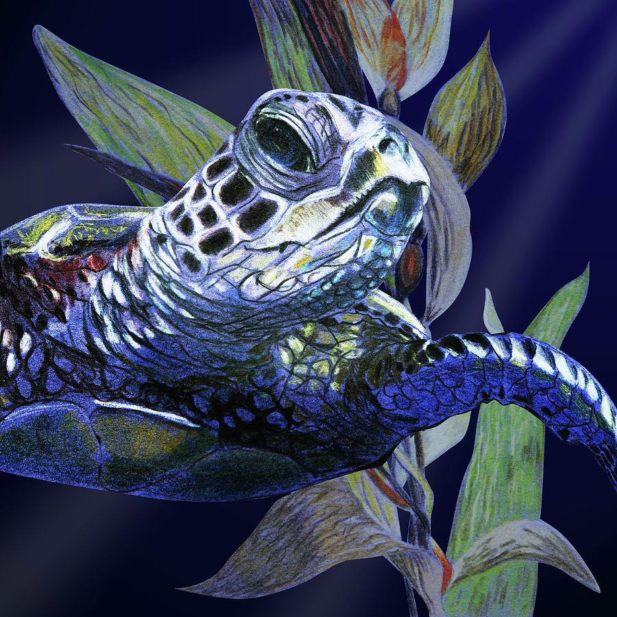Sea Turtle in Dark Water Painting by Masha Batkova