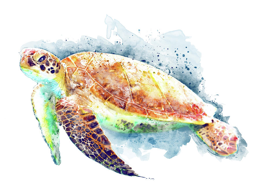 Sea Turtle  Painting by Marian Voicu