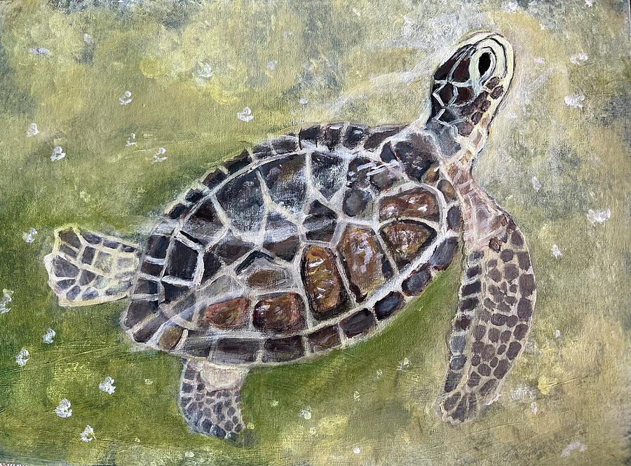 Sea Turtle Of Florida Painting By Shannon Noren - Fine Art America