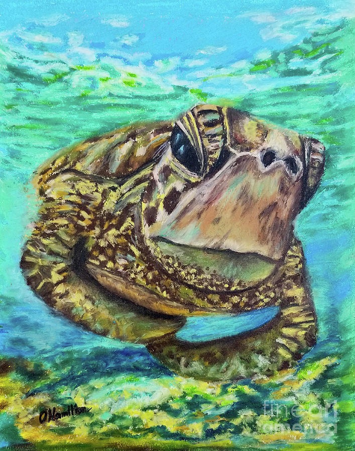 Sea Turtle Oil Pastels Painting by Olga Hamilton - Fine Art America