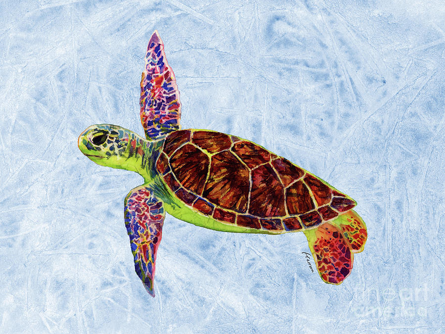  Sea Turtle on Blue Painting by Hailey E Herrera