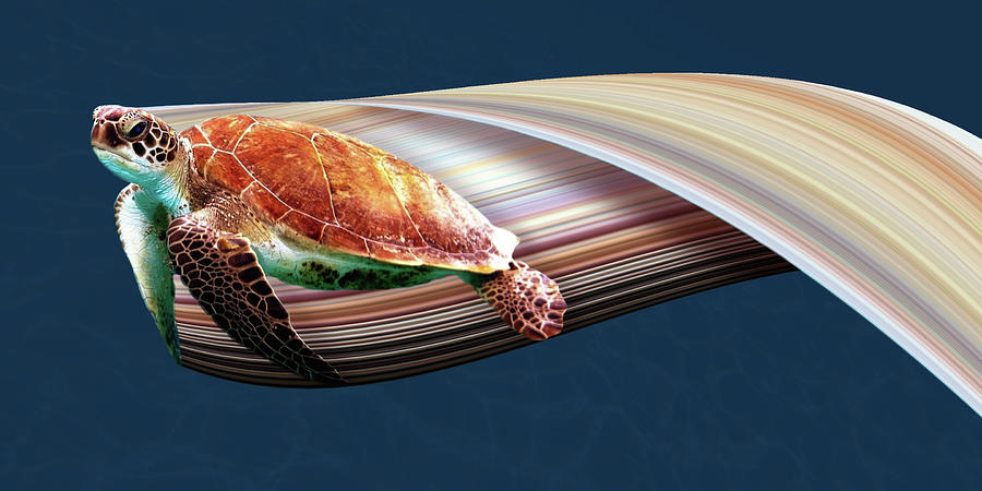 Sea Turtle Pixel Stretch Digital Art