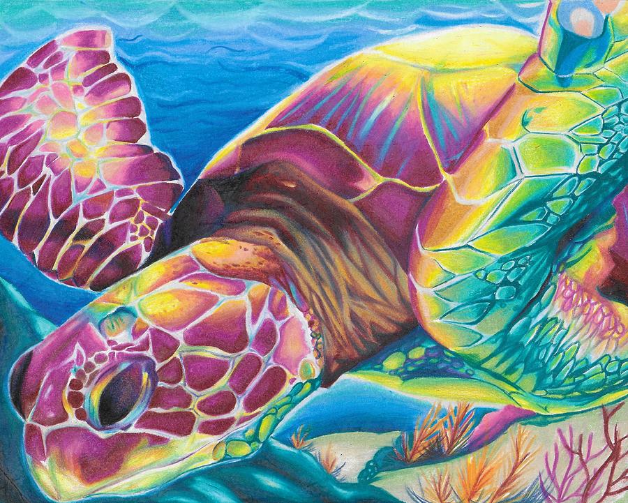 Sea Turtle Drawing by Savannah Kane - Fine Art America