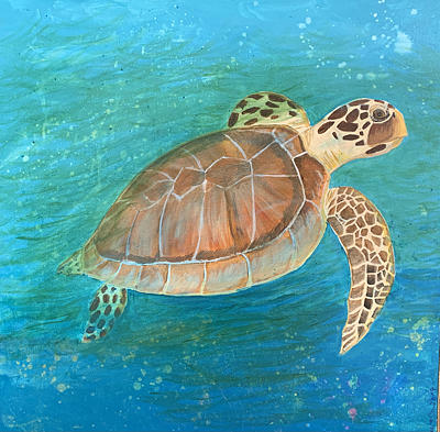 Sea Turtle Painting by Sue Bulos - Fine Art America