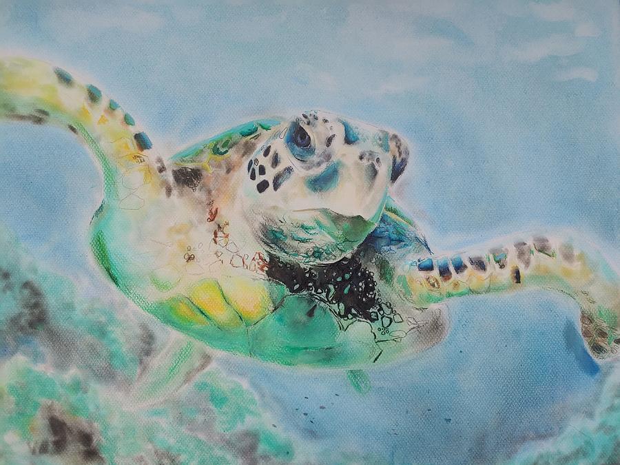 Sea Turtle Pastel by Taylor Warthen - Fine Art America