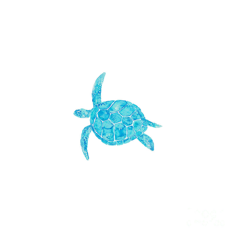 Sea turtle watercolor art Painting by Maryna Salagub | Fine Art America