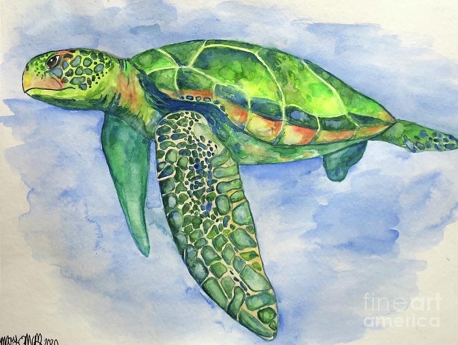 Sea turtle watercolor Painting by Mary McBreen - Fine Art America