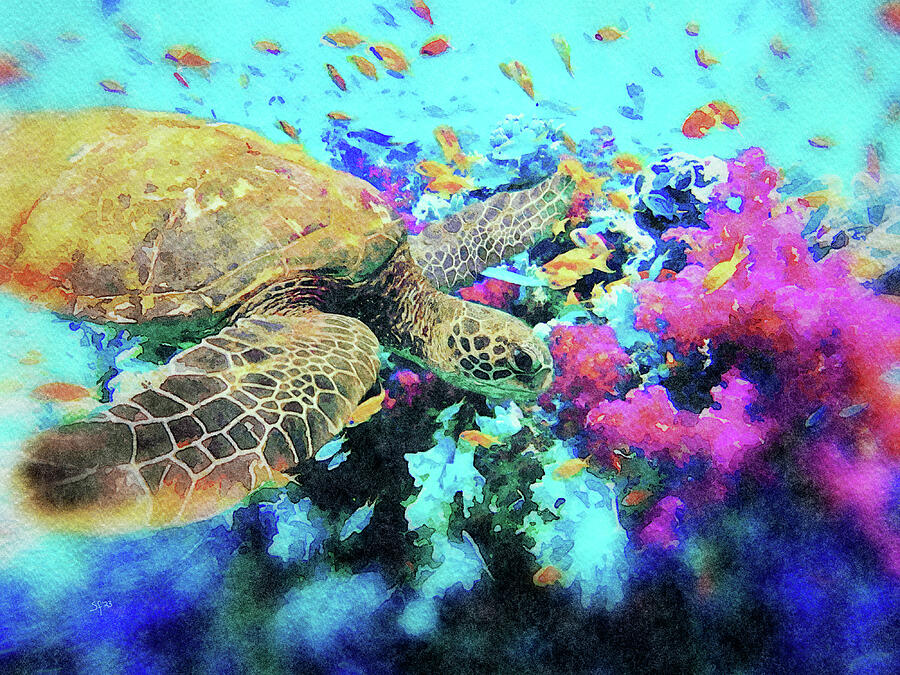 Sea Turtle with Fish and Coral Reef Watercolor Painting  Digital Art by Shelli Fitzpatrick