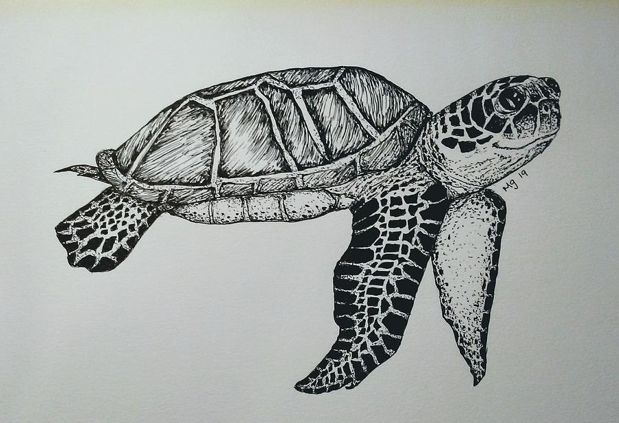 Sea Turtle3 Drawing by Mindy Gibbs
