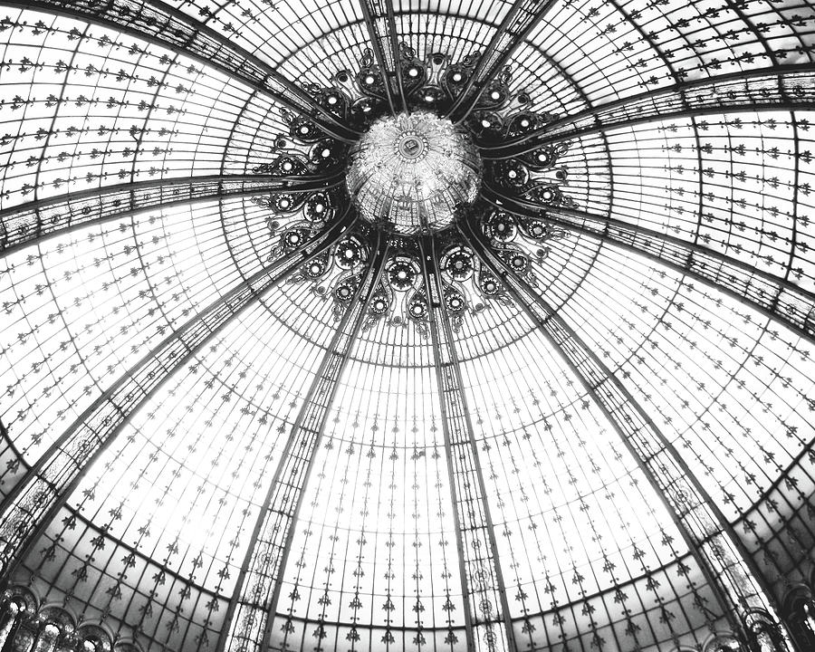 Sea Urchin Ceiling  Black and White Photograph by Lupen Grainne