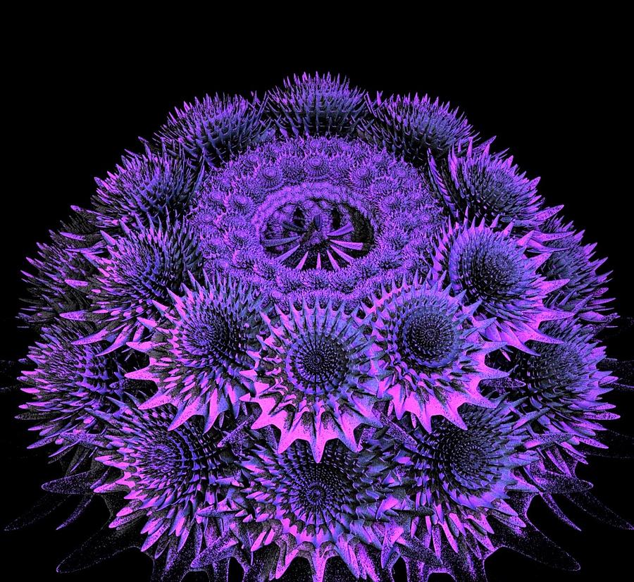 Abstract Digital Art - Sea Urchin by Julie Grace